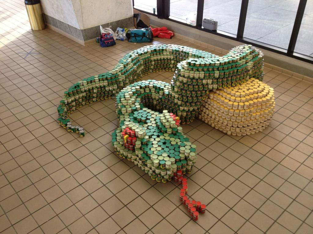 CANstruction