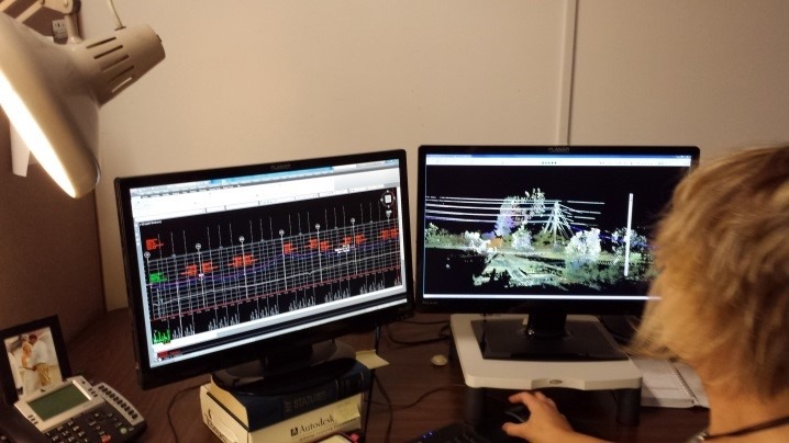 Professional Surveyor at Work