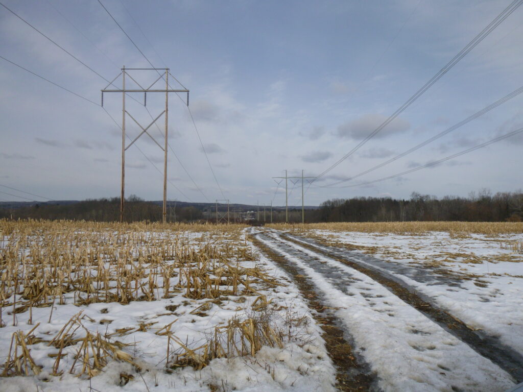 transmission lines in a snow covered field